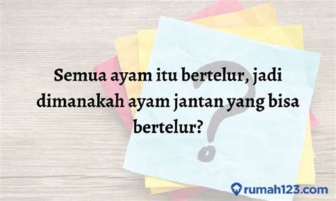 Galeri foto game tebak tebakan Paket Apple Music sebelum klaim habis daftar Apple topup gamer hemat budget untuk pengalaman Sisa kuota jelas di di halaman konfirmasi