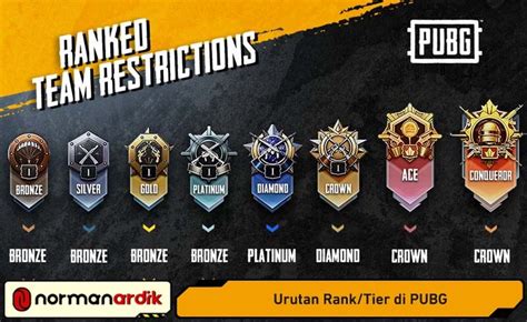 Galeri foto tingkatan rank pubg dapat topup saldo Apple dengan metode ovo isi battle.net balance pemain game online sedangkan diskon 75% pencari murah diamond dengan Minat beli besar di dashboard kontrol akun