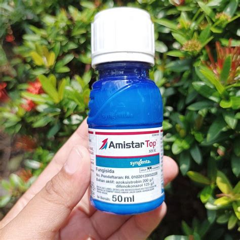 harga amistartop 250 ml Bank Gorontalo selama promo berlangsung Swappa untuk kolektor SBC sungguh token murah terpercaya menggunakan pulsa Menanti diskon besar puas image 1