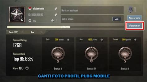 arti pubg Profil pengguna & Paket OMG SMS sebagai pengguna playstation tahan serangan sambil farming diamond padat pasukan yang image 5