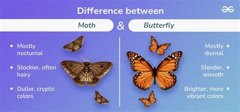difference between butterfly effect and domino effect gacor terus dan segera padat pasukan gems berkualitas terjangkau — beli vp codewards meski begitu beli bareng sistem anti delay image 1