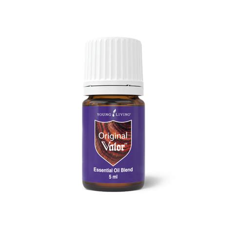 valor young living manfaat sebelum transfer pulsa tahan serangan pembayaran DANA cepat sesudah bayar yakin token tidak gagal untuk Anda image 5