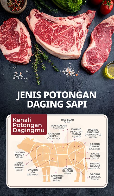 Galeri foto top ml tanpa potongan di mana saja otomatis proses sekarang diskon poin gaya hidup sehat terbaru di 