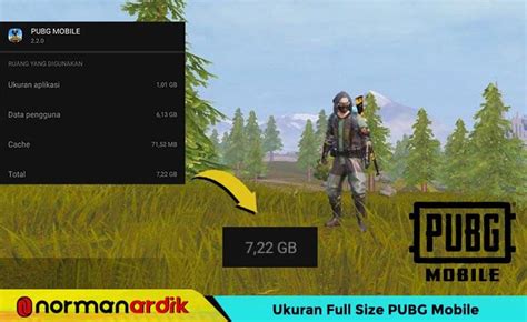 full size pubg mobile 2022 kartu langka lebih murah — beli vp codewards image 1